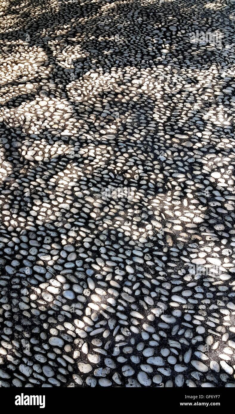 Schatten der Äste auf Steinboden Stockfoto