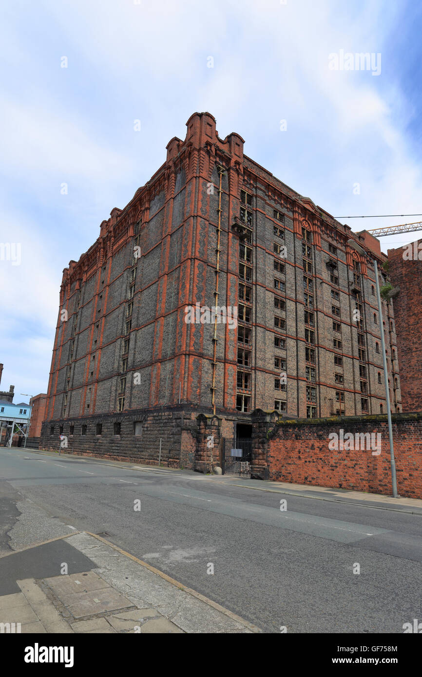 Tabaklager in der Entwicklung in Wohnungen, Stanley Dock, Liverpool, Merseyside, England, UK. Stockfoto