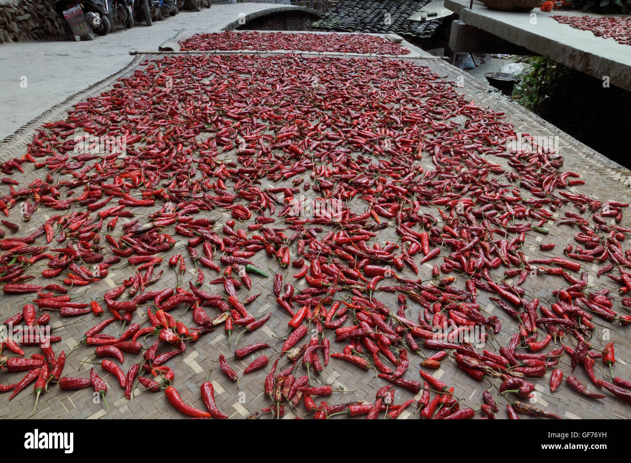 Paprika, die Trocknung in Ping'an, Longsheng, Guangxi, China Stockfoto