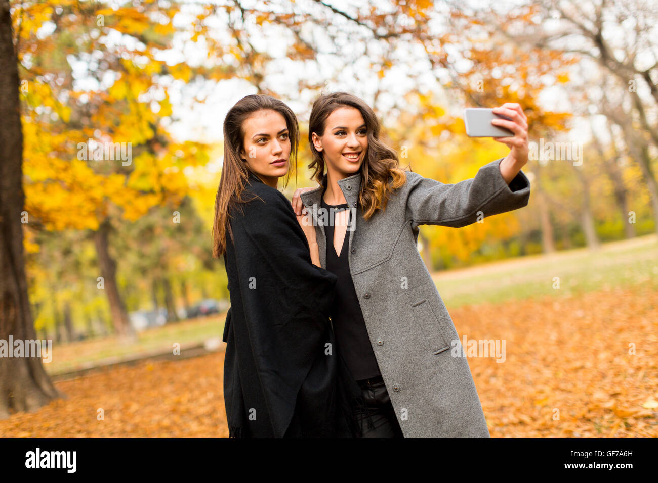 Junge Frauen, die die Selfie mit Handy in den herbstlichen Wald Stockfoto