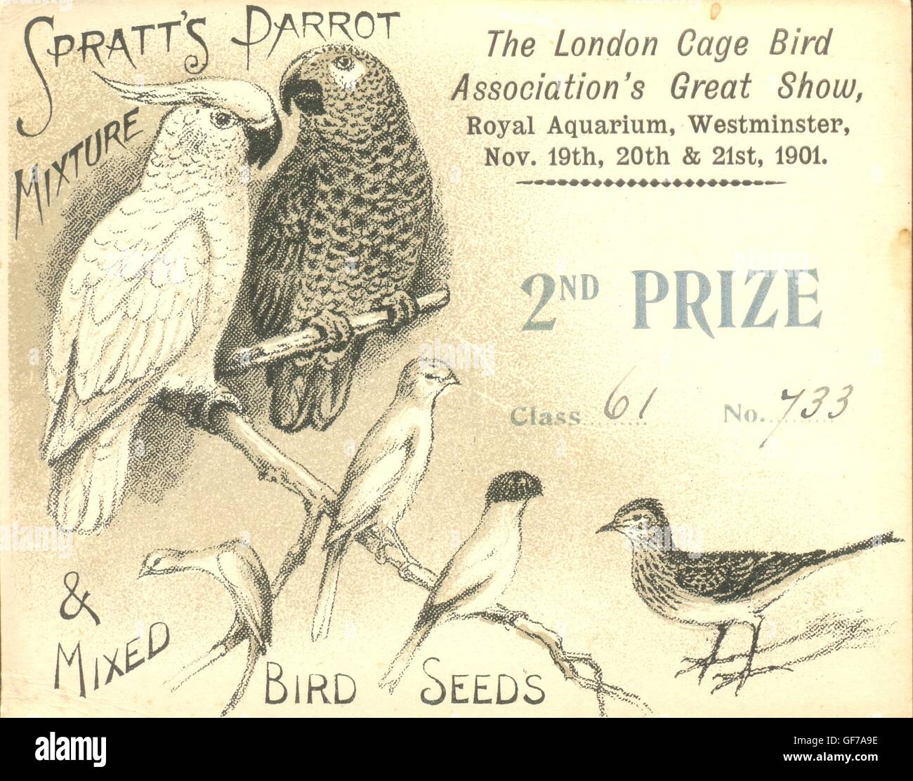 Karte für den zweiten Preis beim London Käfig Vogel des Vereins tolle Show Stockfoto