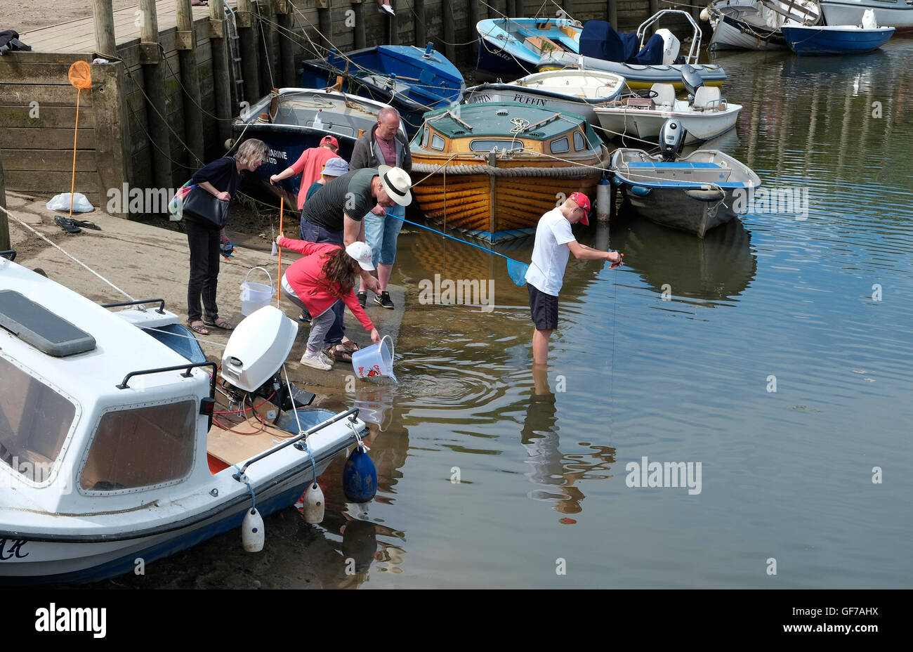Verdrehungen bei Blakeney hegen, North Norfolk, england Stockfoto