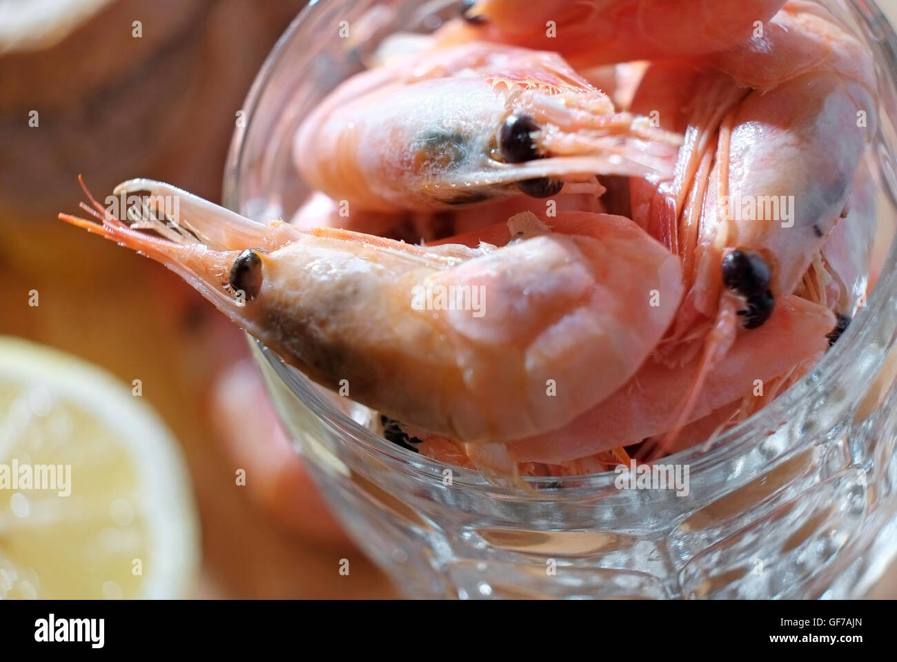 Garnelen in halbes Pint Glas Becher, North Norfolk, england Stockfoto