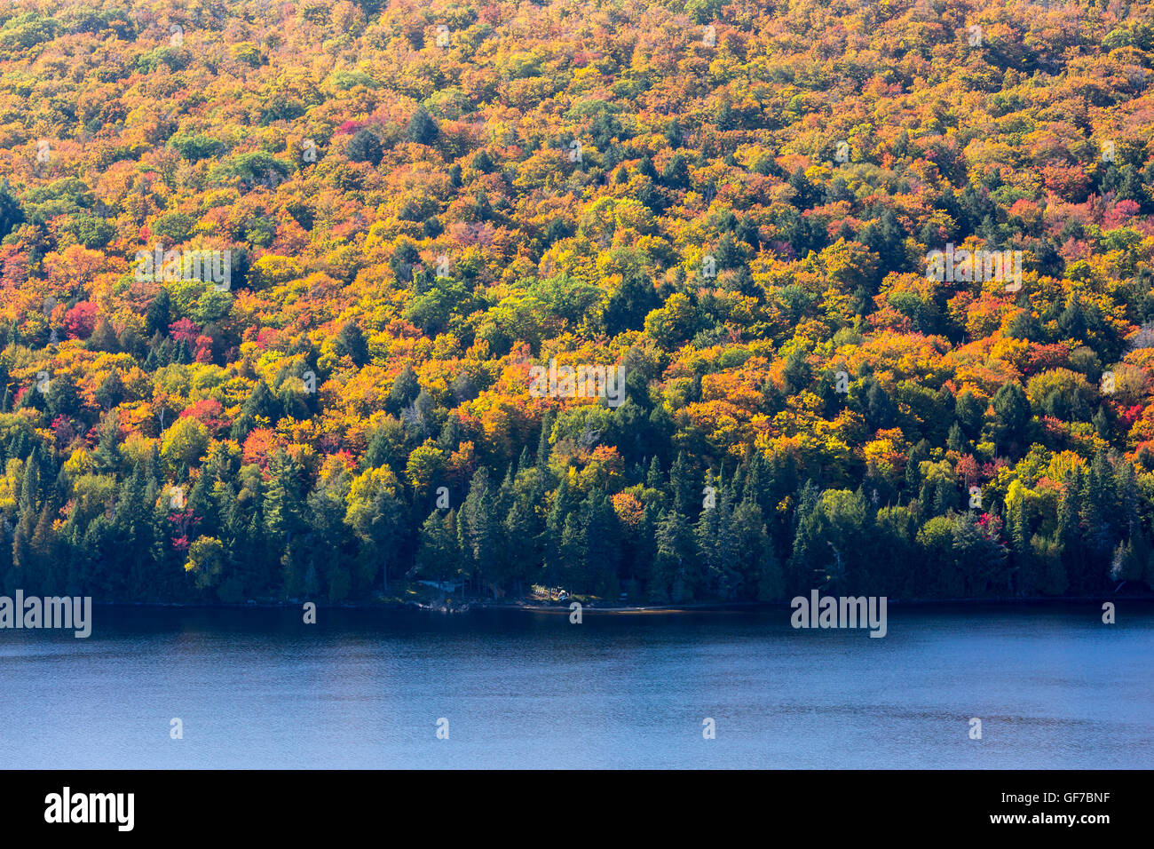 Algonquin Provincial Park, Ontario, Kanada Stockfoto