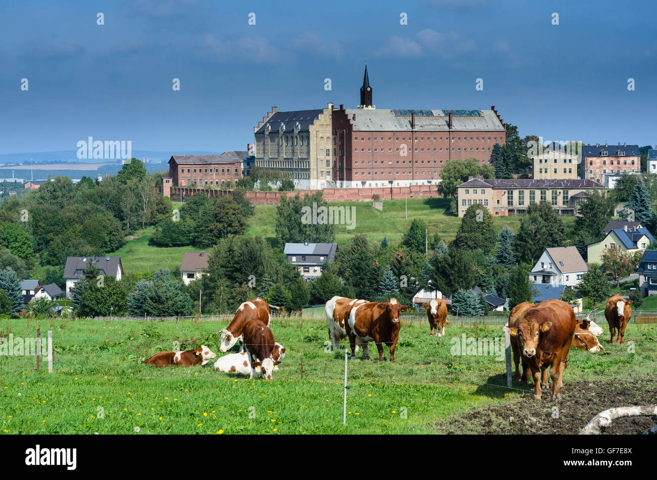 Stollberg Erzgebirge Ehemalige Frauen Gefangnis Hoheneck Kuhe Deutschland Sachsen Sachsen Stockfotografie Alamy