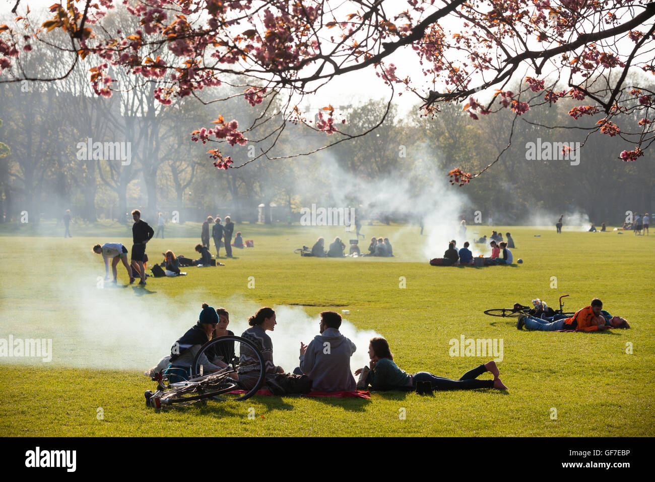 Studenten genießen Grillen auf den Wiesen der City of Edinburgh. Stockfoto