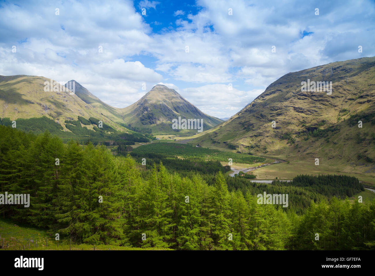 Blick von den unteren Hängen des Corbett Beinn Maol Chaluim in Glen Etive Stockfoto