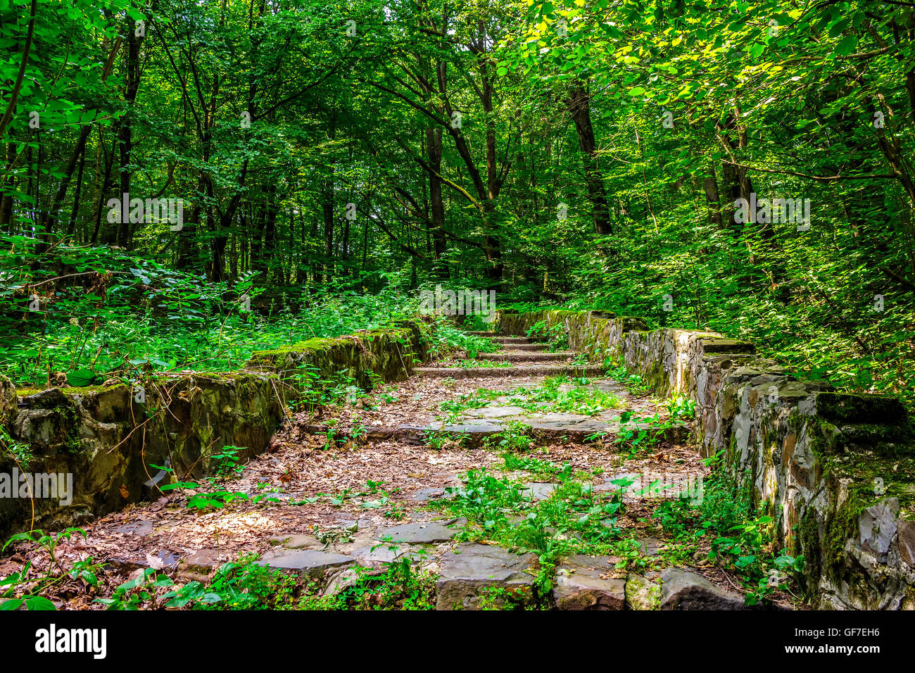 Weg mit den Schritten Stein unter den Bäumen in einem Stadtpark ist mit Laub bedeckt. Stockfoto