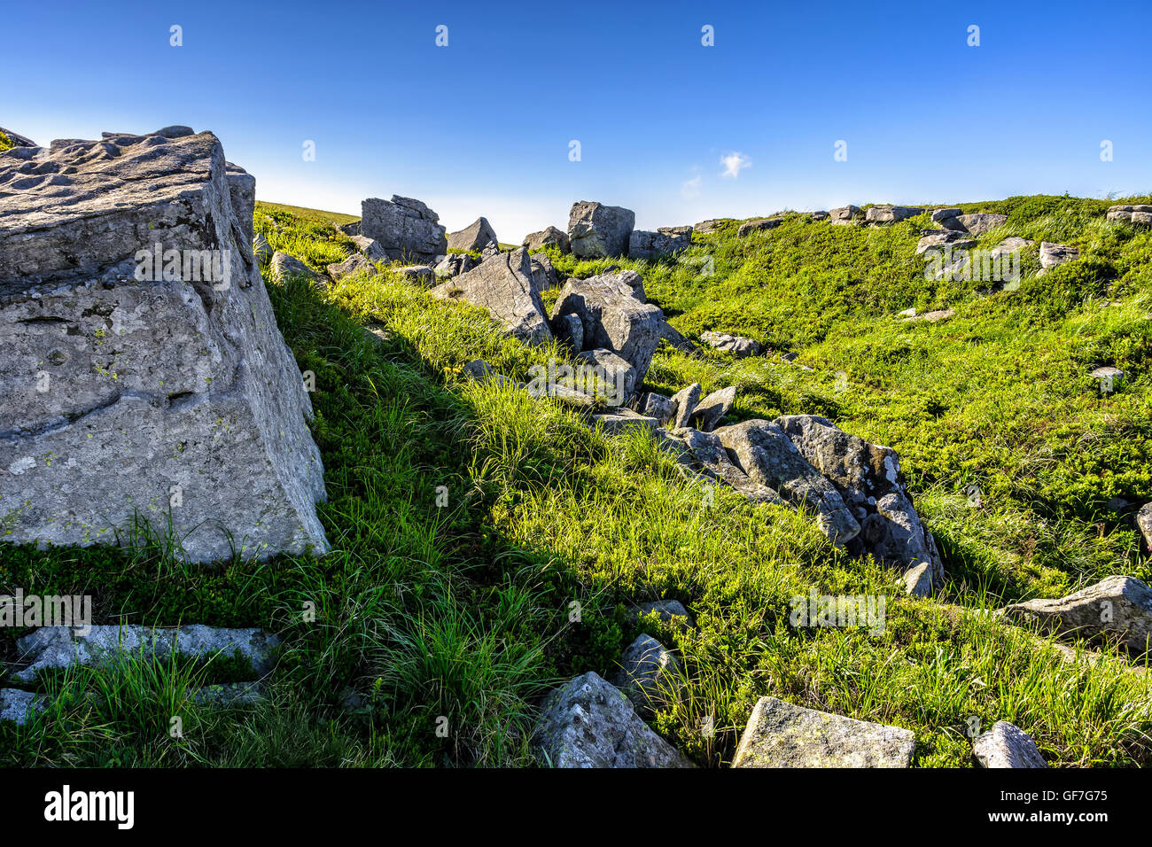 Berg-Sommer-Landschaft. Wiese mit großen Steinen unter dem Rasen oben auf dem Hügel nahe dem Gipfel des Gebirges in mor Stockfoto