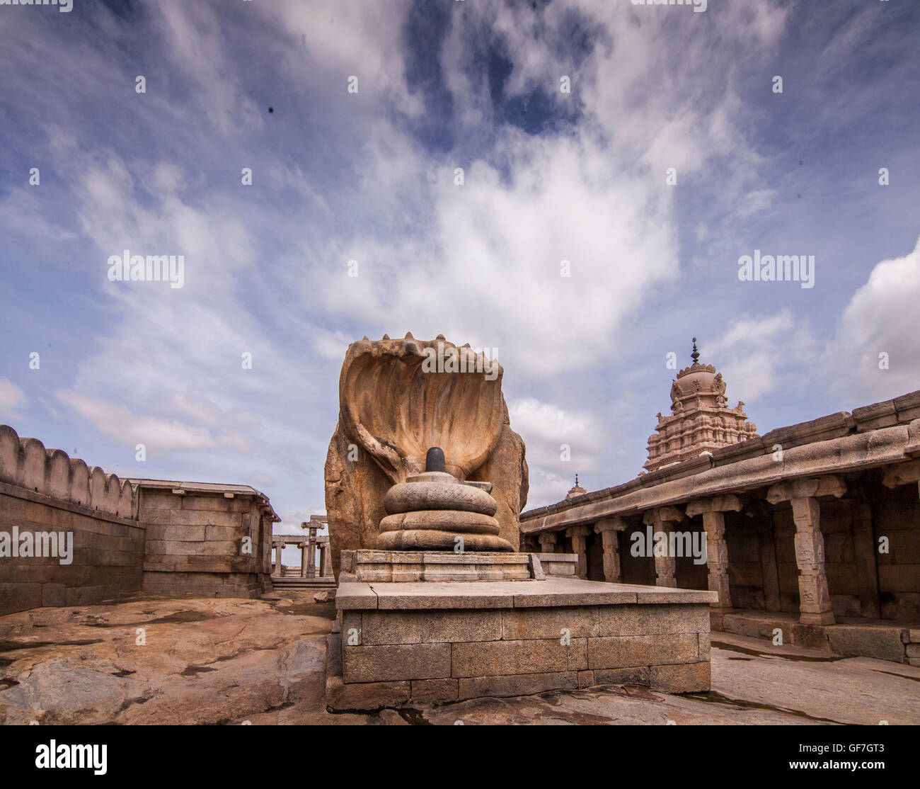 Die Schlange-Statue am Virabhadra Swamy Tempel, Lepaskhi. Stockfoto