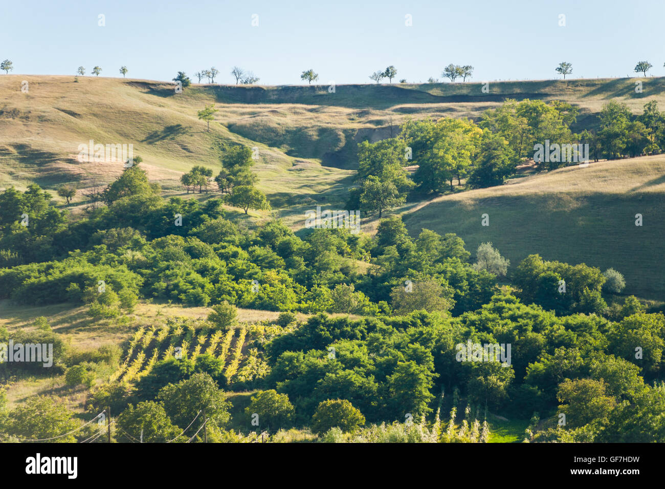 Sommerlandschaft in die Berge und Hügel, Moldawien Stockfoto