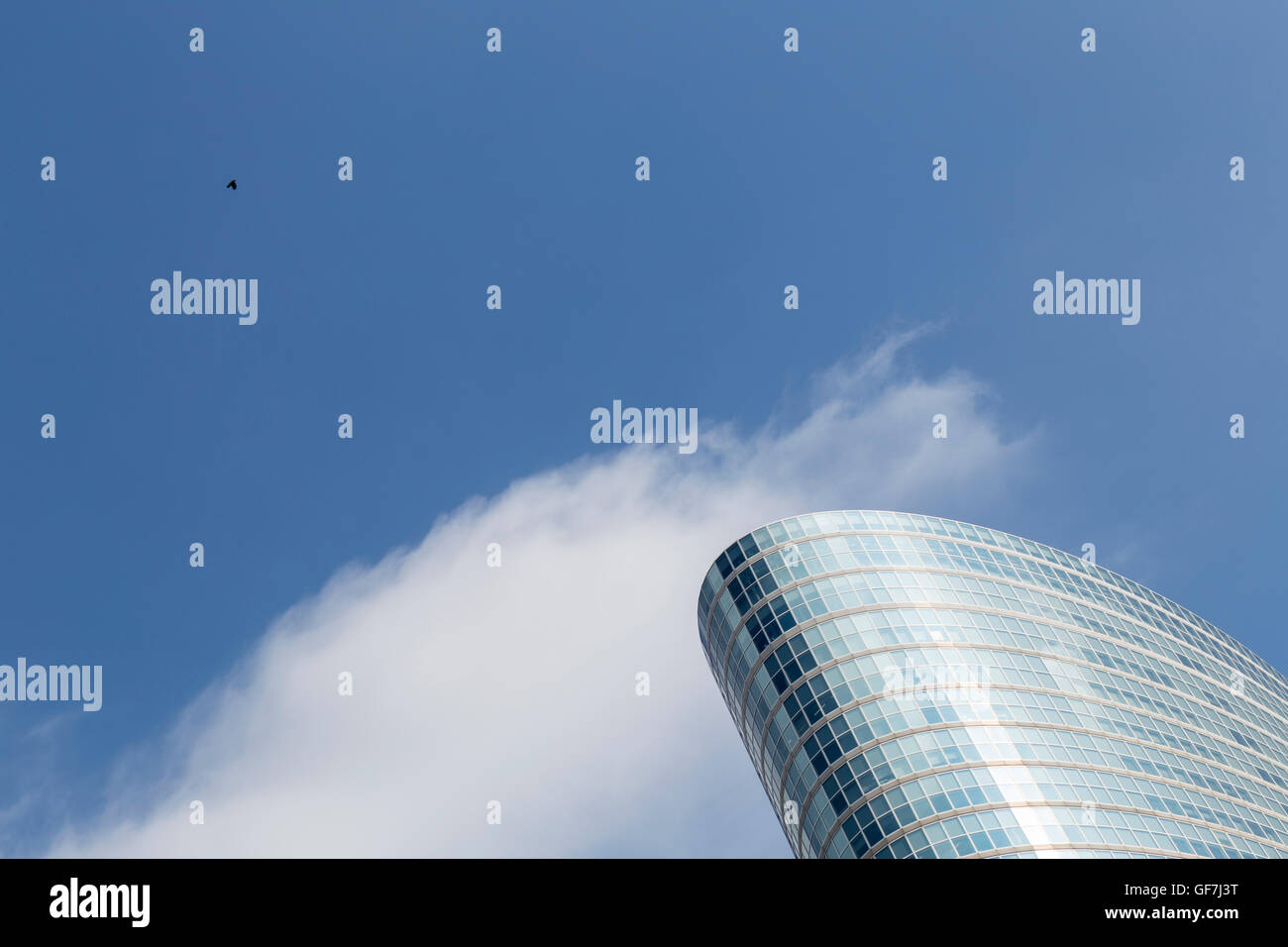 Ein einzelner Vogel fliegt über eine Business-Turm im Stadtteil Shinagawa in Tokio, Japan Stockfoto