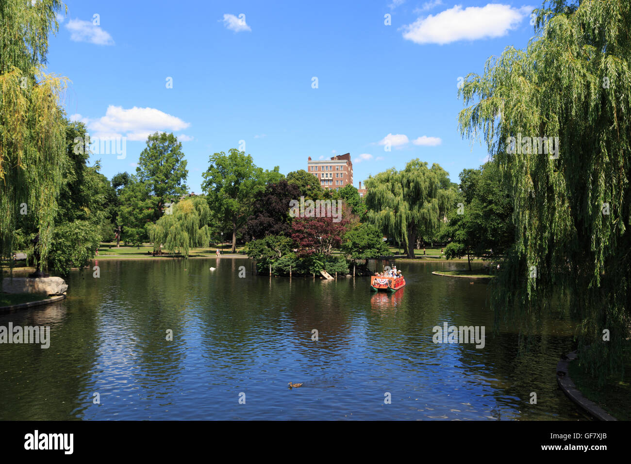 Ein Foto von der See und ein Touristenboot im öffentlichen Garten in Boston, Massachusetts, USA. Stockfoto