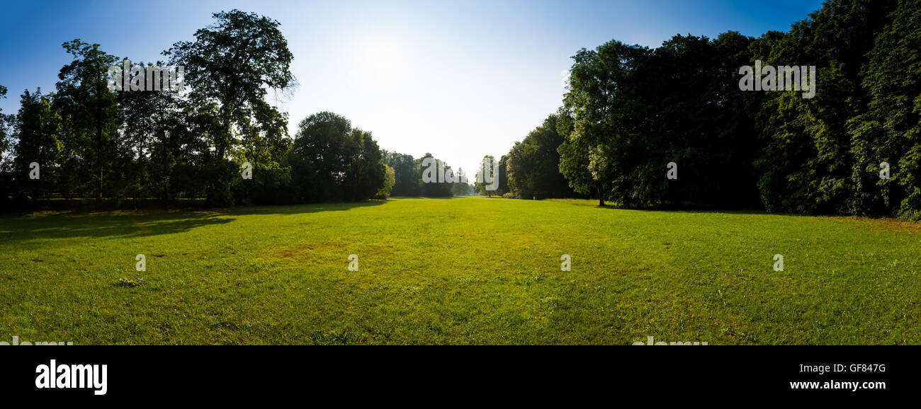 Golfplatz-Rasen-Feld-panorama Stockfoto