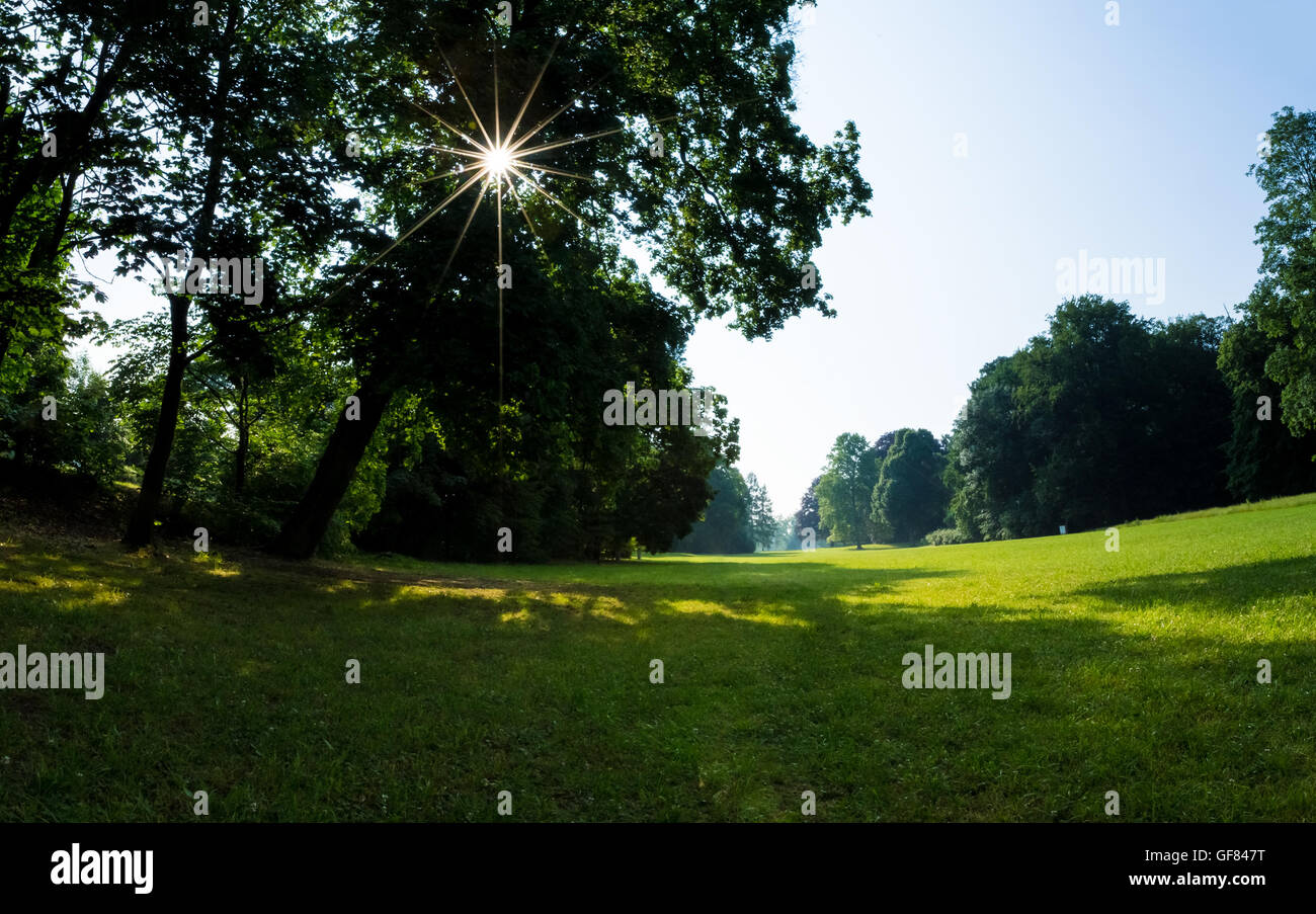 Sonnenlicht in den grünen Wald, Frühling Stockfoto