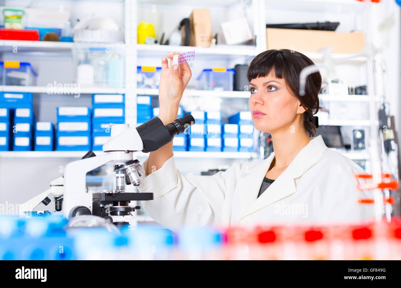 Frau in einem Labor-Mikroskop mit Mikroskop schieben in der hand Stockfoto