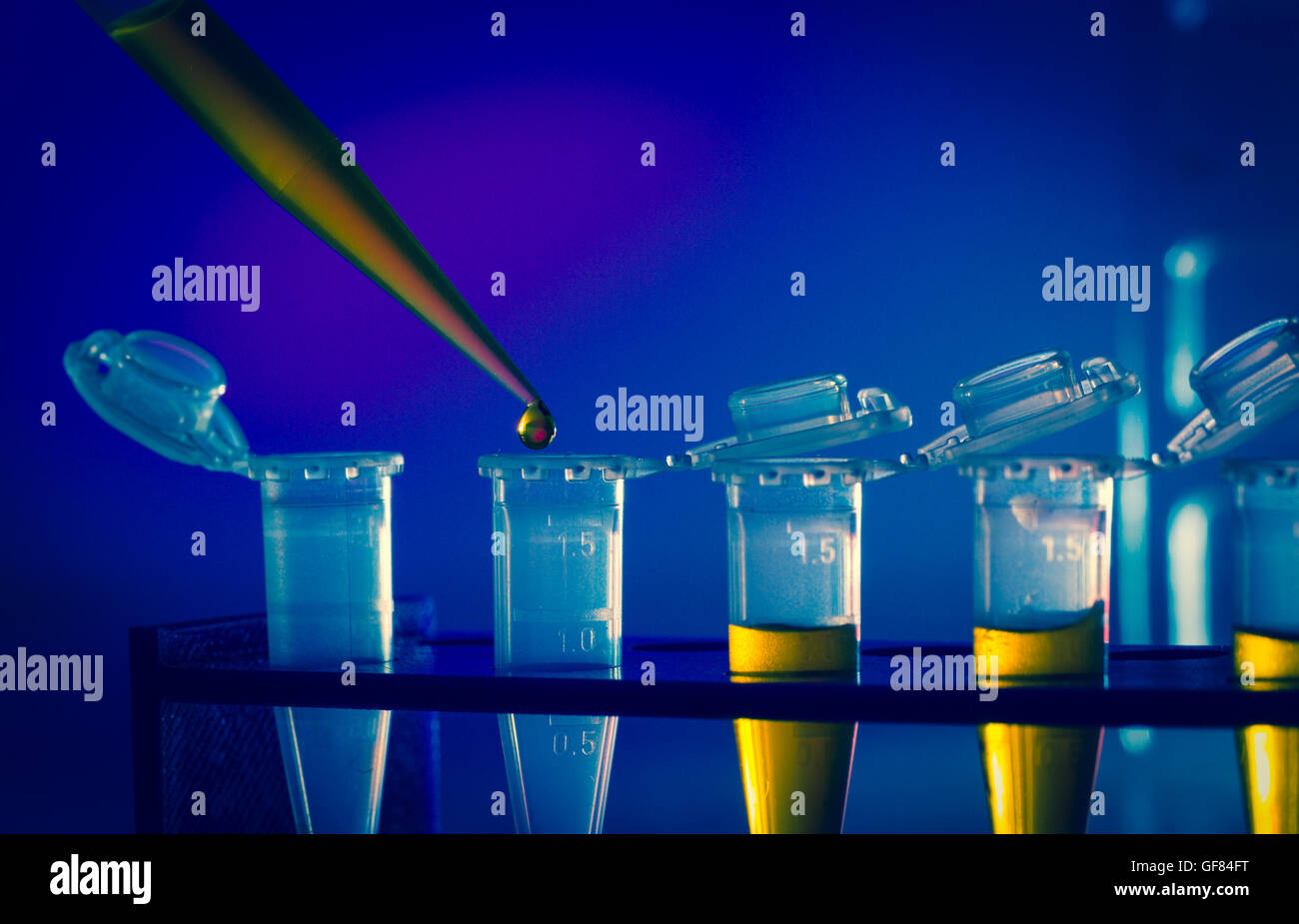 immunologische Forschung im Labor, Reagenzglas und pipette Stockfoto