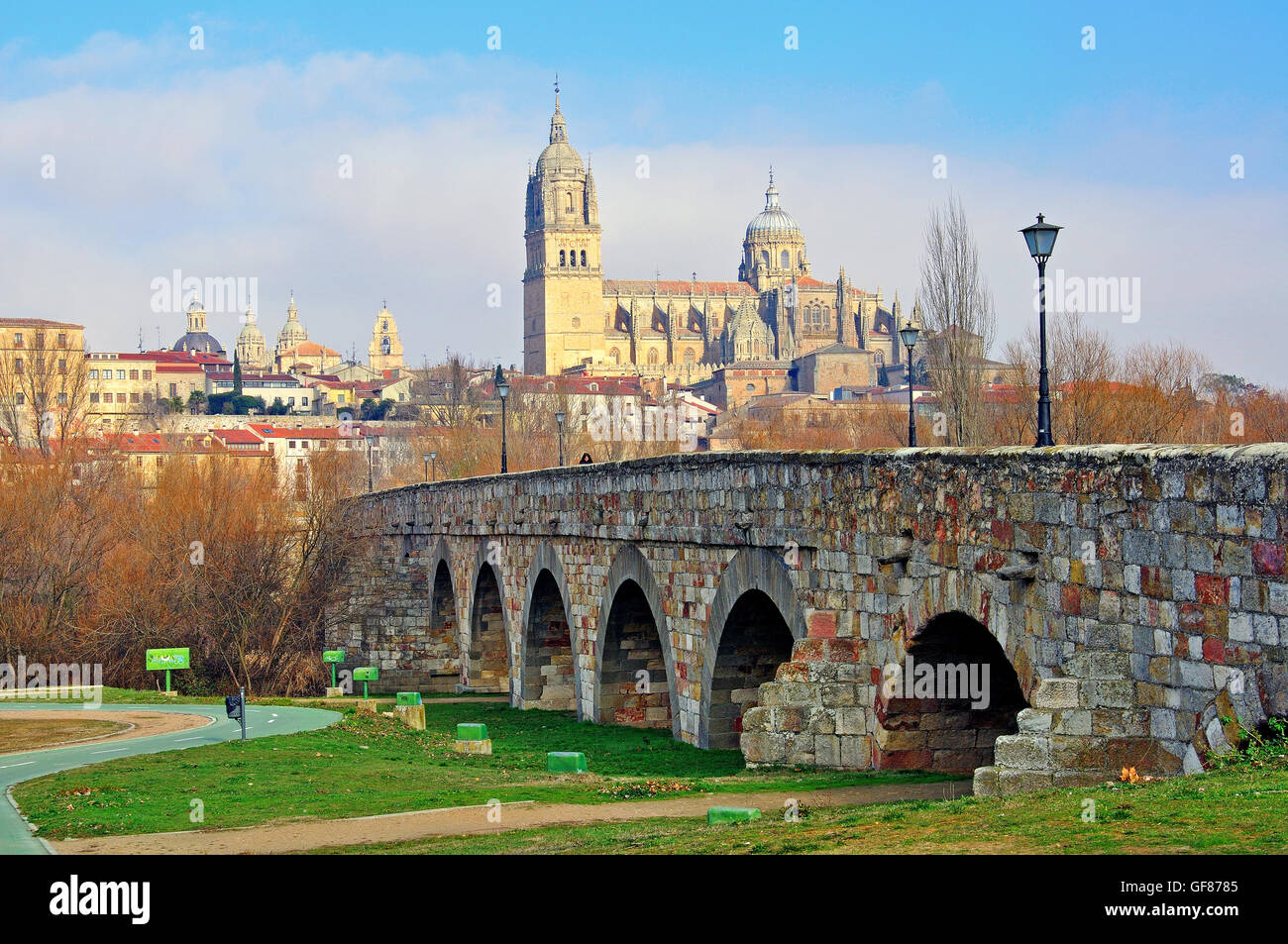 Ansicht der alten Brücke und Kathedrale von Salamanca, Spanien Stockfoto