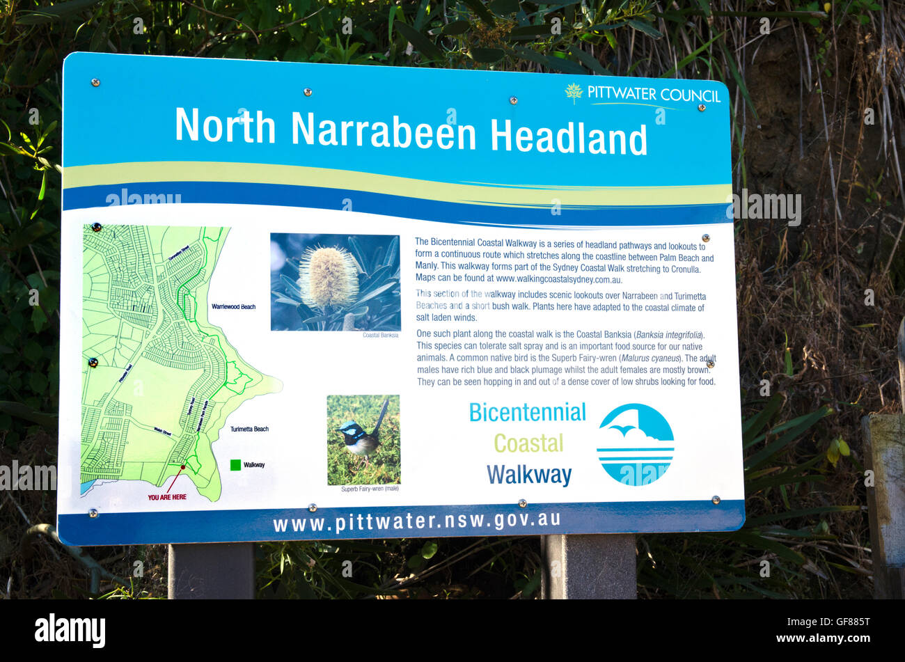 Lokalen Rat Schild am Narrabeen Landzunge, Sydney Australien Stockfoto
