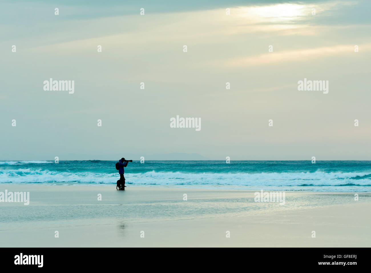 die Silhouette von einem Hund und einem kaukasischen Jüngling in der Ferne eine Aufnahme direkt am Meer bei Sonnenuntergang mit einem bewölkten Stockfoto