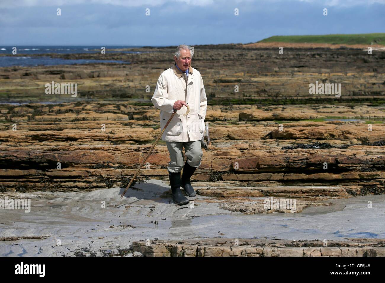 Der Prinz von Wales, bekannt als der Herzog von Rothesay in Schottland, Spaziergänge am Strand in der Nähe von Schloss Mey, Mitarbeiter von New Wave Foods, ein neues Unternehmen mit Sitz in Wick, Ernte essbaren Algen vom Strand zu sehen. Stockfoto