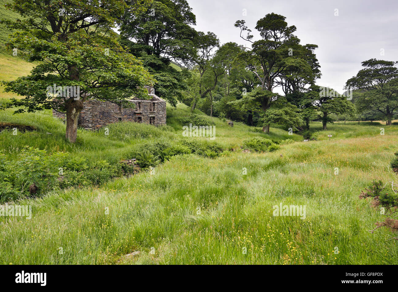 Glen Dhoo; Naturschutzgebiet; Isle Of Man; UK Stockfoto