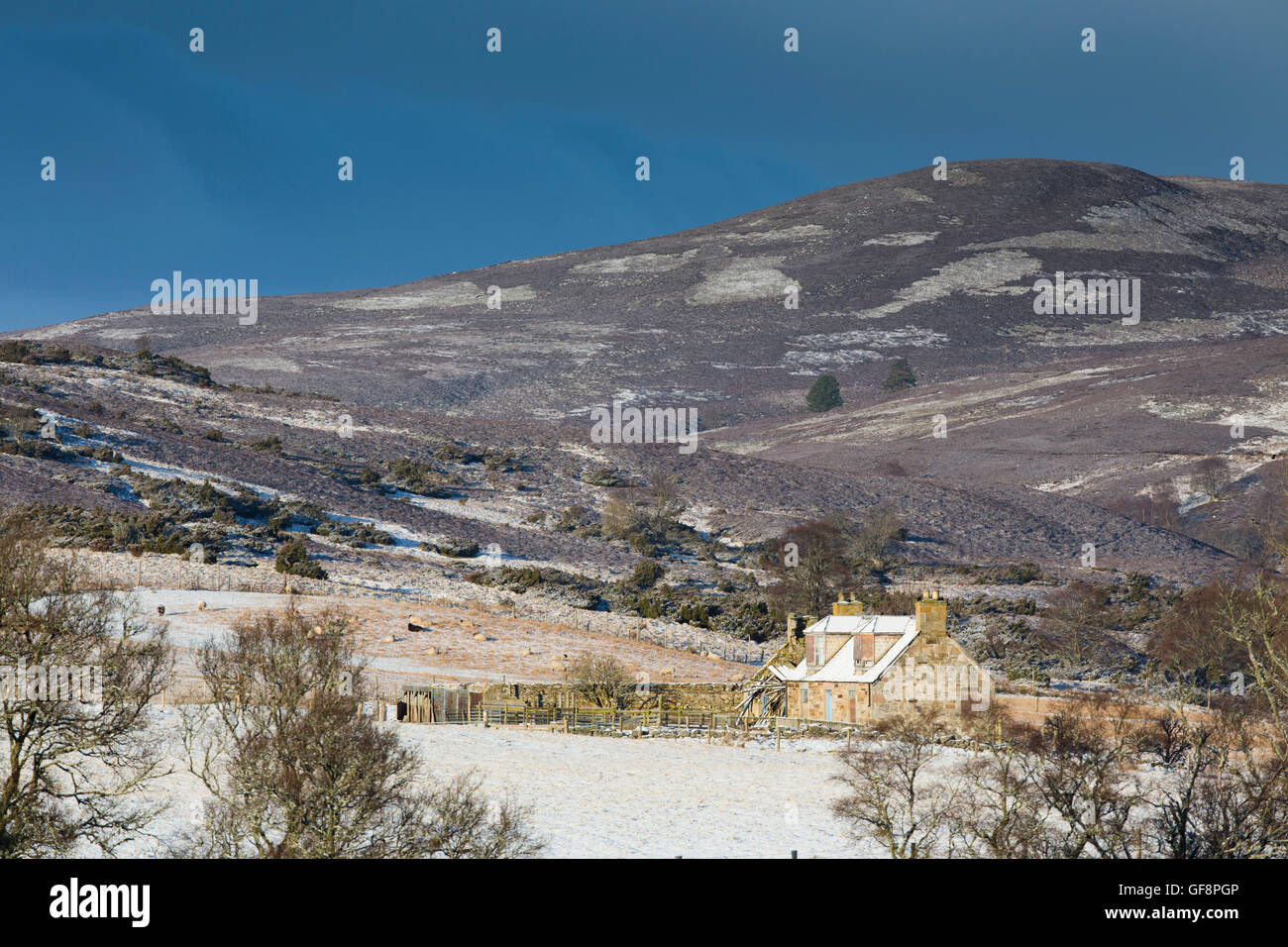 Glenlivet Estate; Winter; Schottland; UK Stockfoto