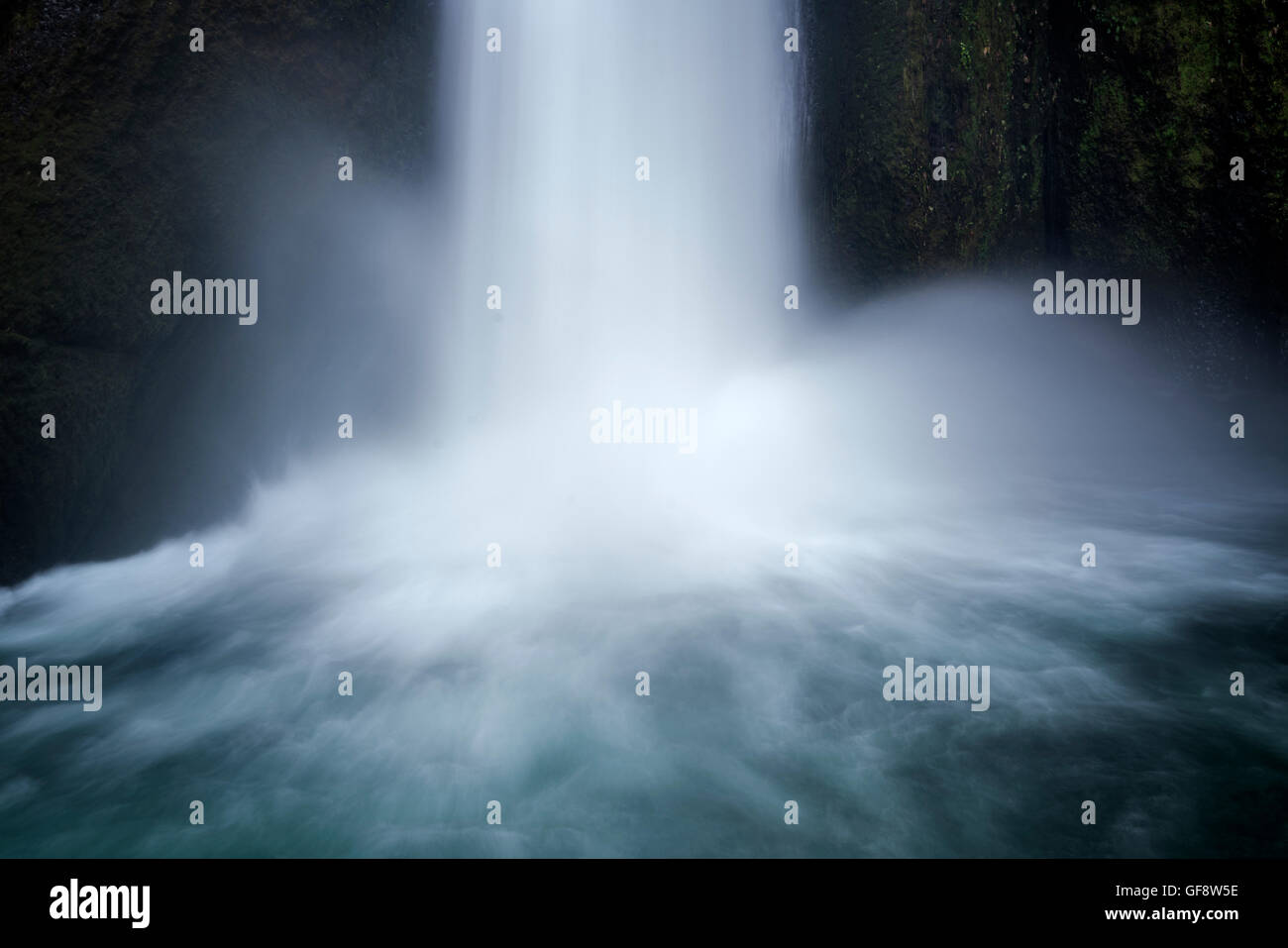 Wahclella Falls, auch genannt Tanner Creek Falls. Columbia River Gorge National Scenic Bereich, Oregon Stockfoto