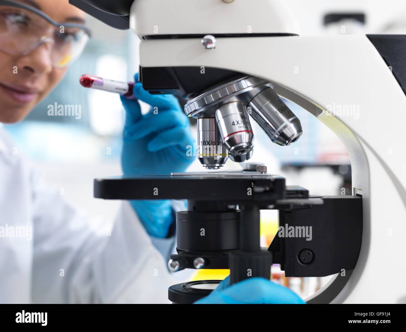 EIGENTUM FREIGEGEBEN. -MODELL VERÖFFENTLICHT. Wissenschaftler, die Vorbereitung eine Blutprobe unter dem Mikroskop im Labor für medizinische Tests anzeigen. Stockfoto