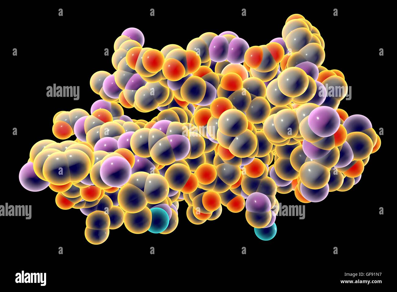 Insulin-Molekül. Computer-Modell zeigt die Struktur eines Moleküls des Hormoninsulin. Insulin spielt eine wichtige Rolle bei der Blutzuckerregulation. Insulin wird aus der Bauchspeicheldrüse freigegeben, wenn der Blutzuckerspiegel hoch sind, z. B. nach einer Mahlzeit, vorsagen Stockfoto