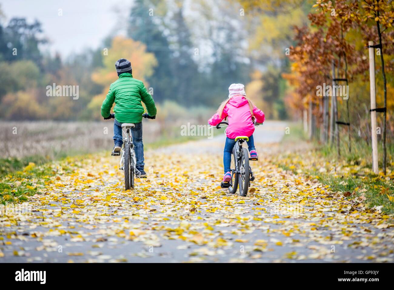 -MODELL VERÖFFENTLICHT. Rückansicht der Geschwister im Herbst. Stockfoto