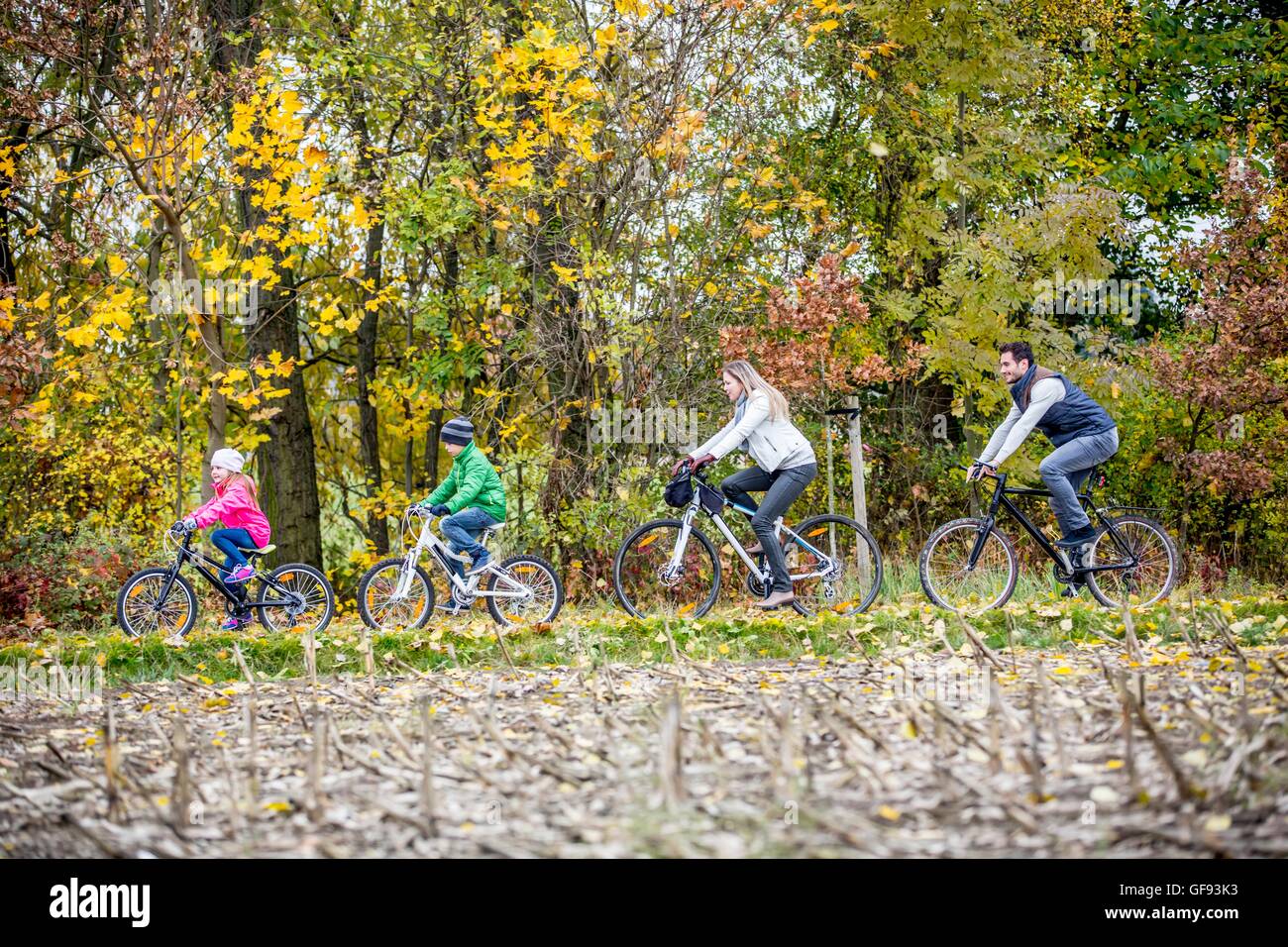 -MODELL VERÖFFENTLICHT. Familie Radfahren zusammen im Herbst. Stockfoto