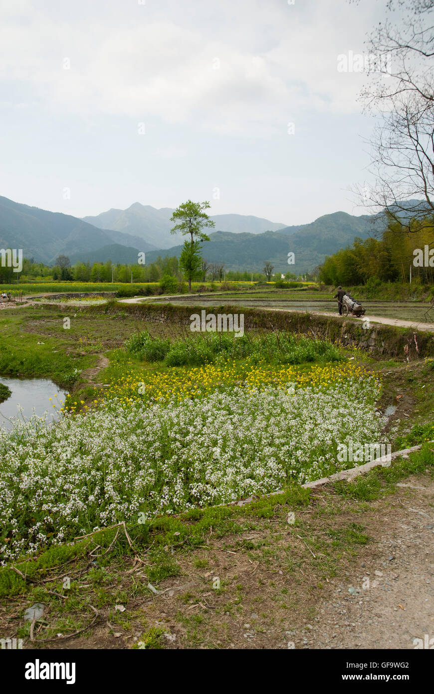 Pfad und Berg Landschaft in Hongcun (Provinz Anhui, China) Stockfoto