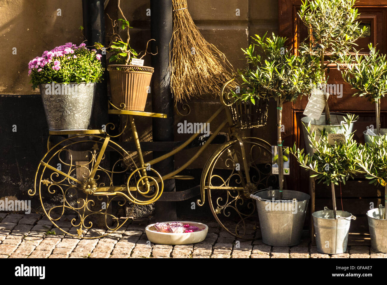 Garten und Blumen anzeigen Shop Kopenhagen Stockfoto