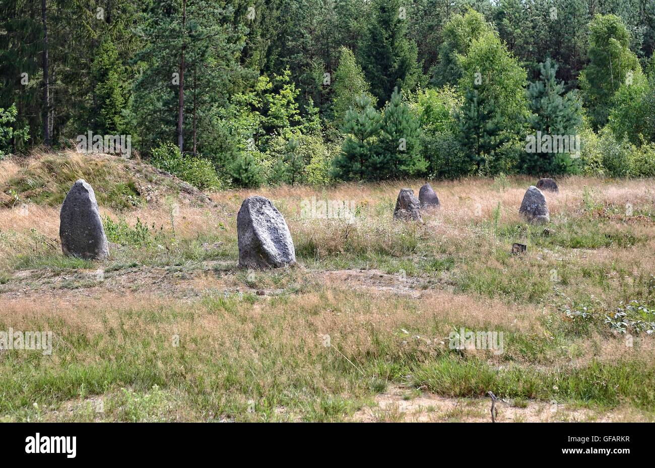 Tratkownica, Polen. , . Sonnigen und warmen Tag im nördlichen Polen Dorf von Tratkownica es gibt guten Grund zu besuchen alte, mysteriöse Friedhof in Tratkownica. Dem Friedhof in Tratkownica durch die Goten im ersten Jahrhundert nach Christus gegründet. Goten kam der kaschubischen Seenplatte aus Skandinavien, mit sich bringt neue Beerdigung Strukturen - Steinhügel umgeben von Kränzen. Zwischen den Hügeln waren Kreise die großen Felsbrocken in die Versammlungen und Gerichte statt. Zwischen den Hügeln waren auch verbrannt und Skelett-Gräber mit verbrannten Knochen. Bildnachweis: Michal Fludra/Alamy Live-Nachrichten Stockfoto