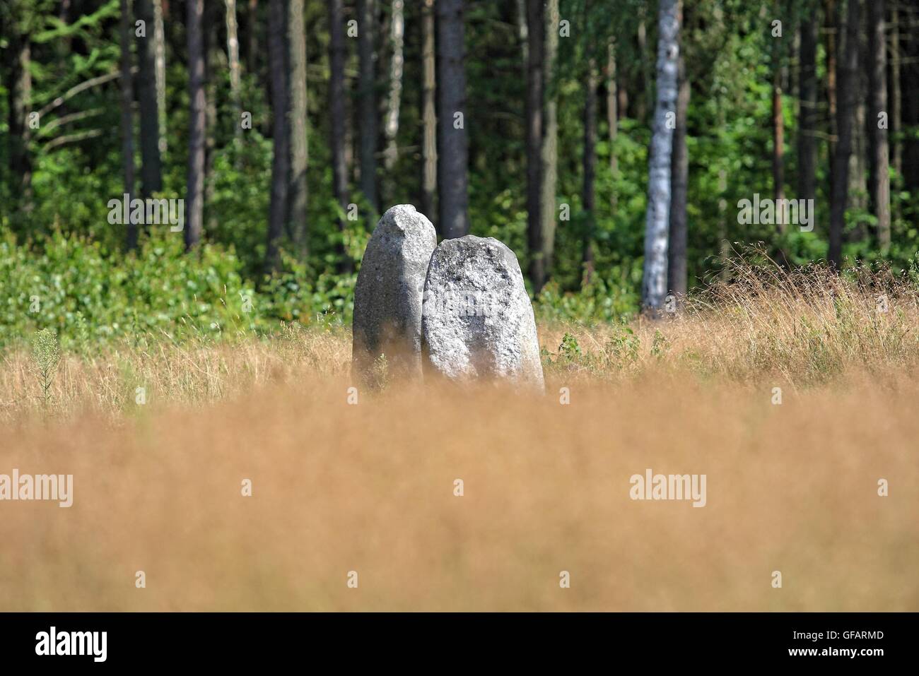 Tratkownica, Polen. , . Sonnigen und warmen Tag im nördlichen Polen Dorf von Tratkownica es gibt guten Grund zu besuchen alte, mysteriöse Friedhof in Tratkownica. Dem Friedhof in Tratkownica durch die Goten im ersten Jahrhundert nach Christus gegründet. Goten kam der kaschubischen Seenplatte aus Skandinavien, mit sich bringt neue Beerdigung Strukturen - Steinhügel umgeben von Kränzen. Zwischen den Hügeln waren Kreise die großen Felsbrocken in die Versammlungen und Gerichte statt. Zwischen den Hügeln waren auch verbrannt und Skelett-Gräber mit verbrannten Knochen. Bildnachweis: Michal Fludra/Alamy Live-Nachrichten Stockfoto