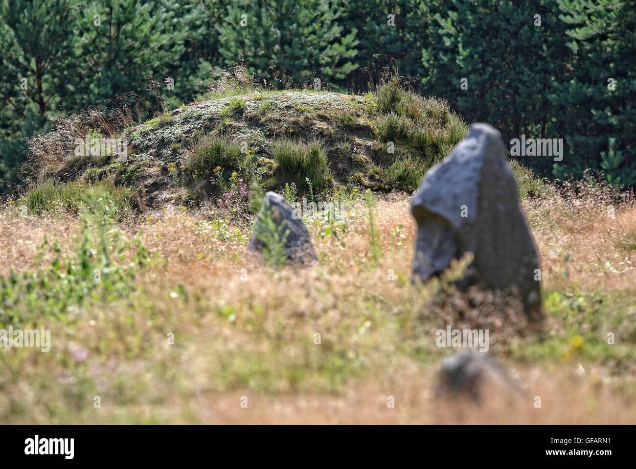 Tratkownica, Polen. , . Sonnigen und warmen Tag im nördlichen Polen Dorf von Tratkownica es gibt guten Grund zu besuchen alte, mysteriöse Friedhof in Tratkownica. Dem Friedhof in Tratkownica durch die Goten im ersten Jahrhundert nach Christus gegründet. Goten kam der kaschubischen Seenplatte aus Skandinavien, mit sich bringt neue Beerdigung Strukturen - Steinhügel umgeben von Kränzen. Zwischen den Hügeln waren Kreise die großen Felsbrocken in die Versammlungen und Gerichte statt. Zwischen den Hügeln waren auch verbrannt und Skelett-Gräber mit verbrannten Knochen. Bildnachweis: Michal Fludra/Alamy Live-Nachrichten Stockfoto