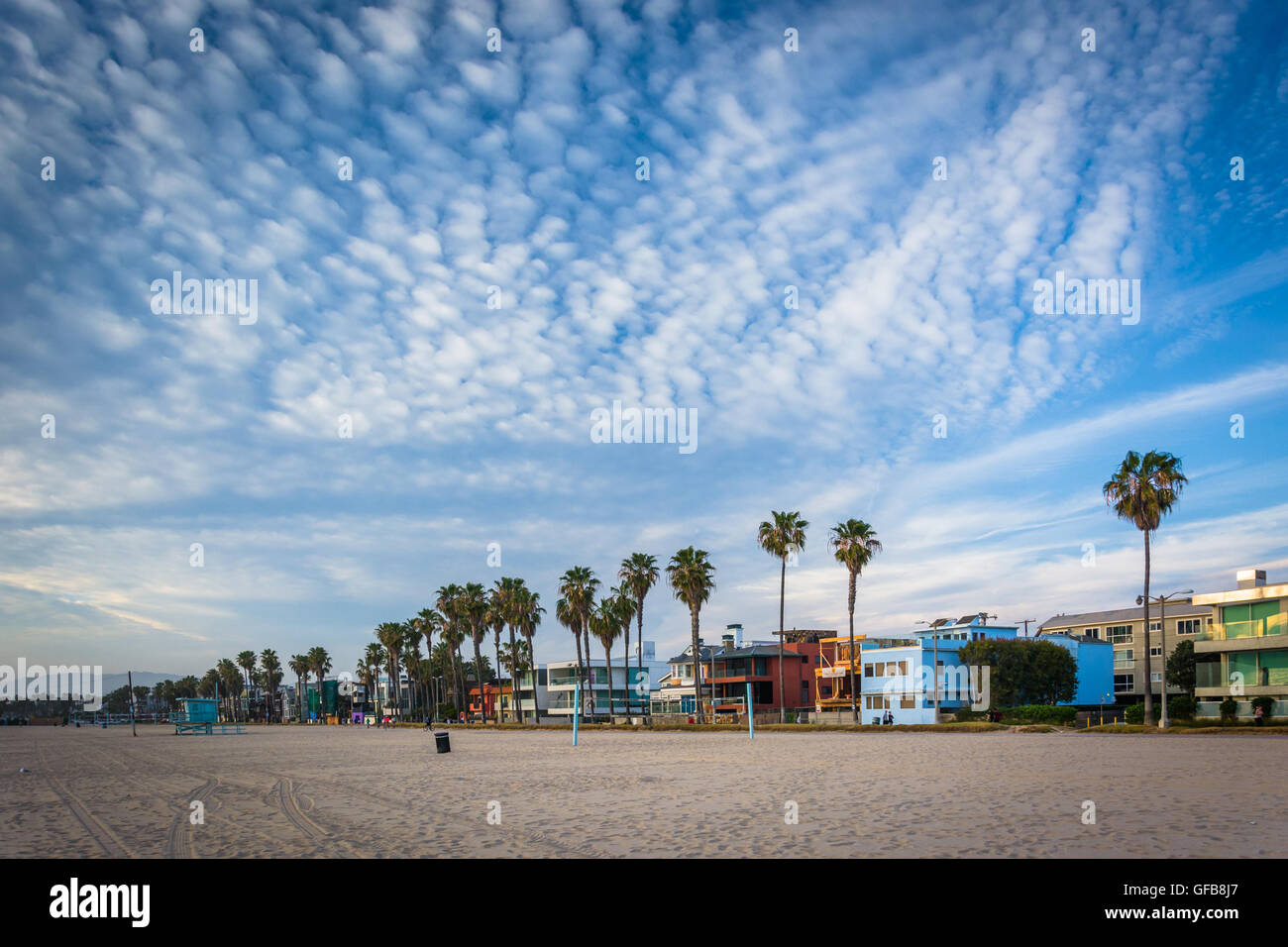 Palmen Sie und Häuser entlang des Strandes in Venice Beach, Los Angeles, Kalifornien. Stockfoto