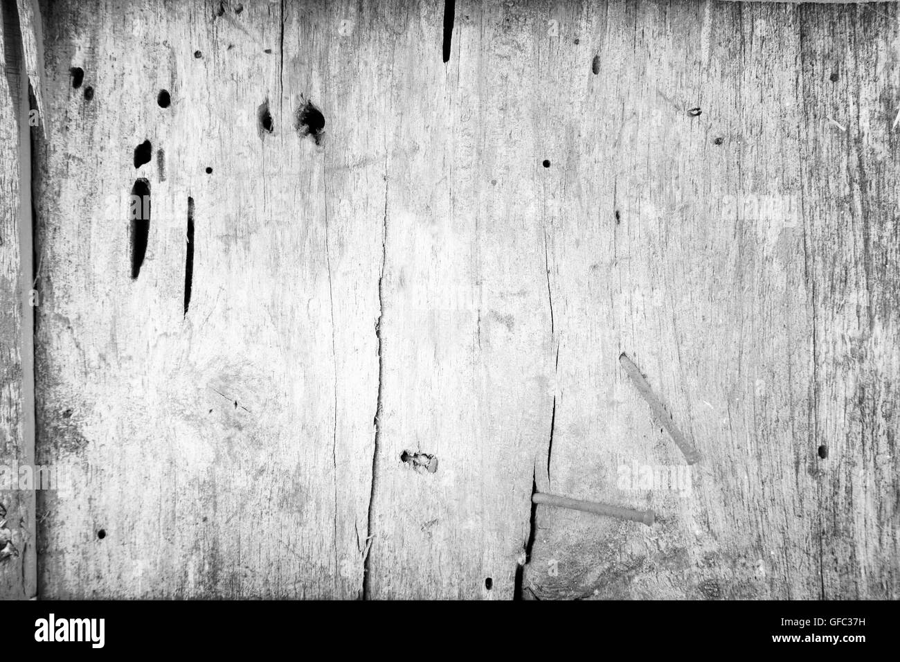 Nahaufnahme von weißem Holz Hintergrund Stockfoto