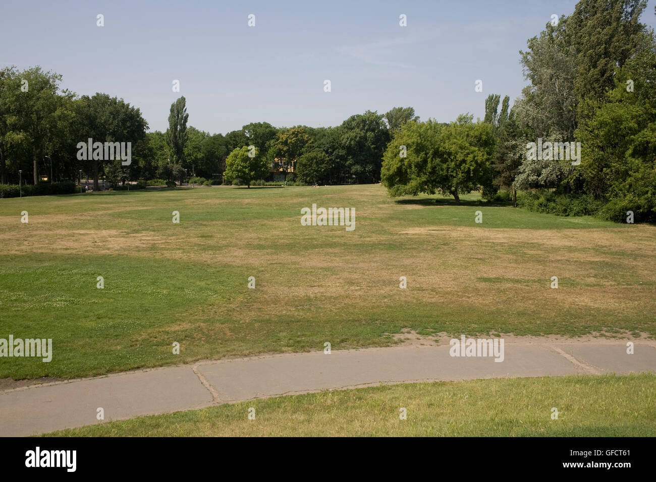 Freifläche an warmen Sommertagen Samstagmorgen im Stadtpark Stockfoto