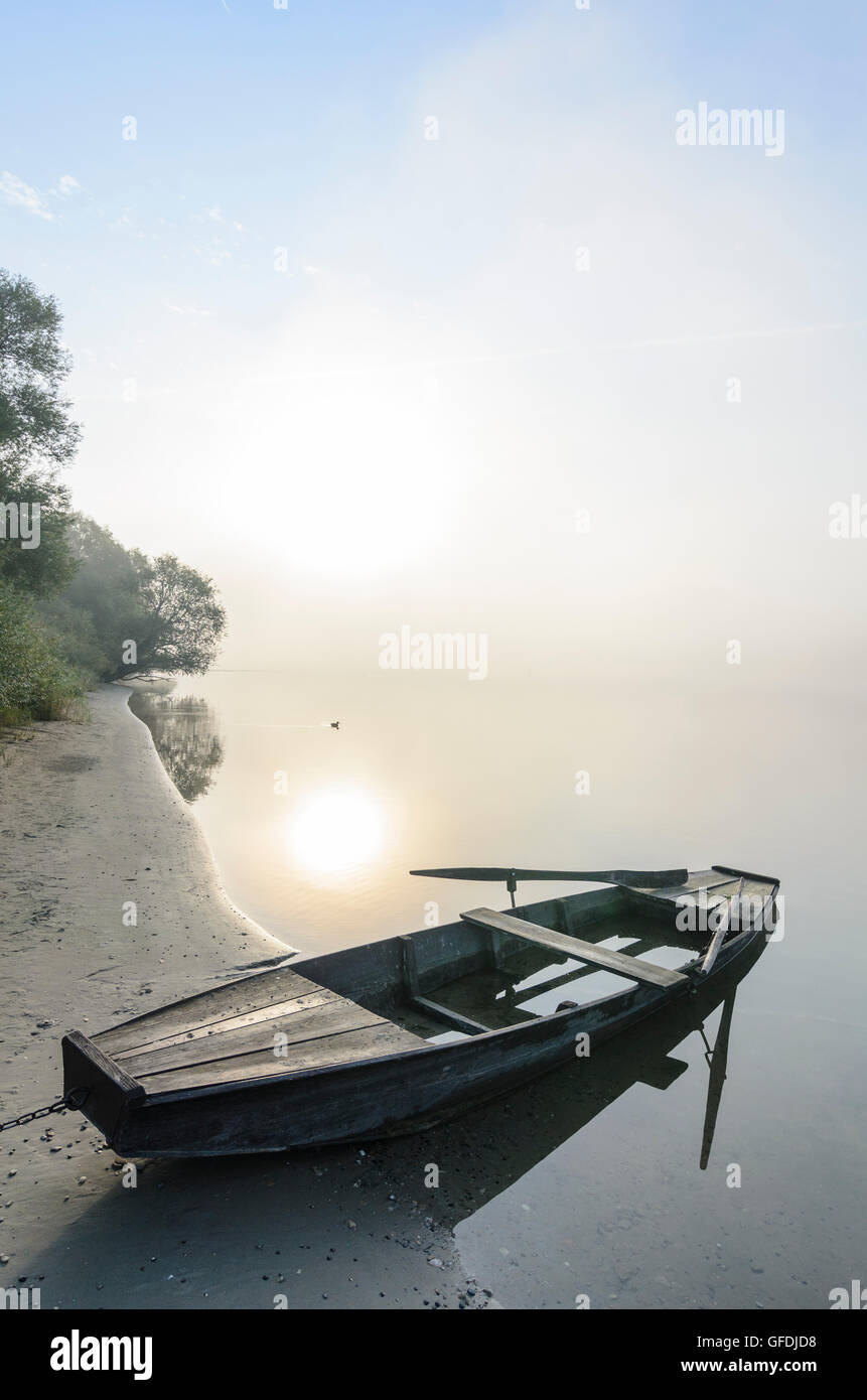 Mariaposching: undichte Ruderboot auf der Donau im Morgennebel, Niederbayern, Niederbayern, Bayern, Bayern, Deutschland Stockfoto