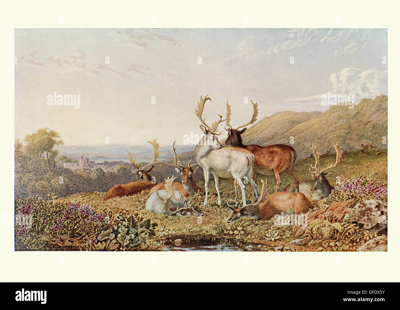 Hirsch in einer Landschaft, nach dem Aquarell von George Barret Jun., eine englische Landschaft Maler Stockfoto