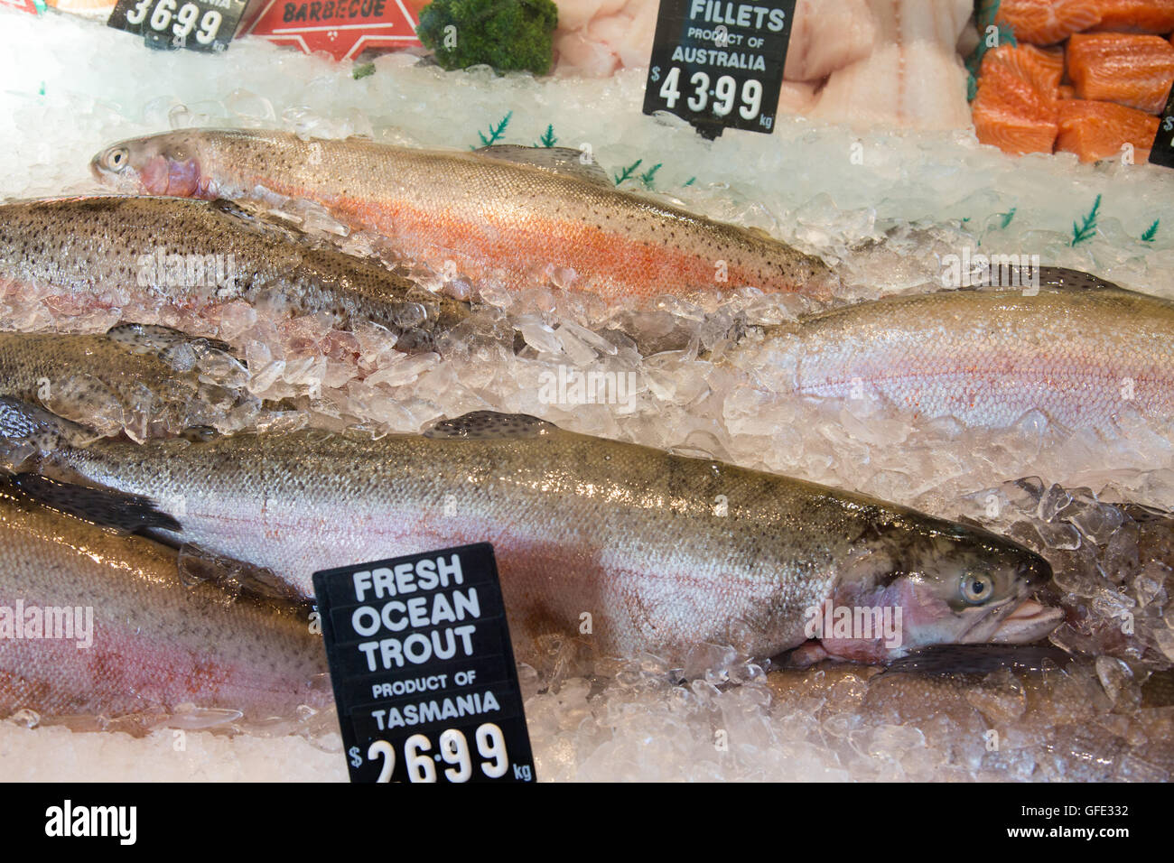 Australische Fischhändler in Manly, Sydney Verkauf einer Reihe von australischen Frischfisch einschließlich frische Meeresluft Forelle aufbewahren Stockfoto