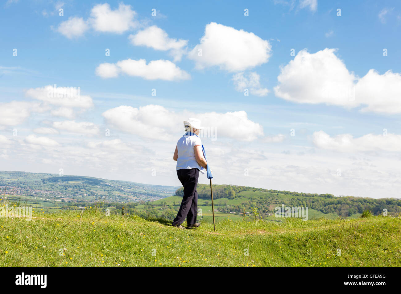 Frühling gehen auf Cam Long Down auf die Cotswold Weg, Gloucestershire, England, UK Stockfoto