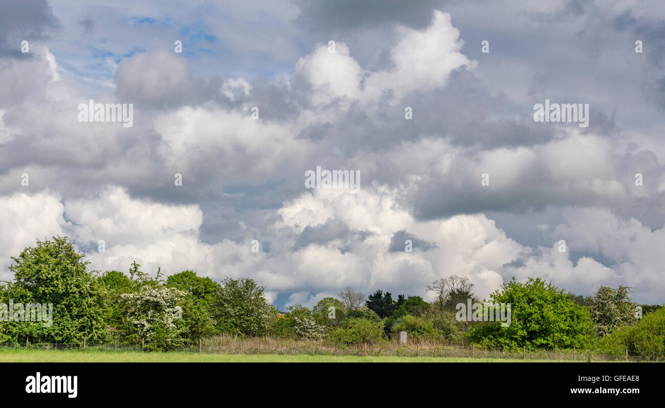 Cumulus Wolkenformationen über Landschaft, England, UK Stockfoto