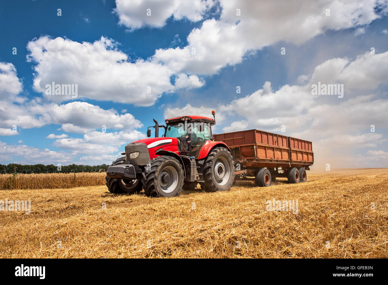 Modernen roten Traktor auf den landwirtschaftlichen Bereich an sonnigen Sommertag. Stockfoto