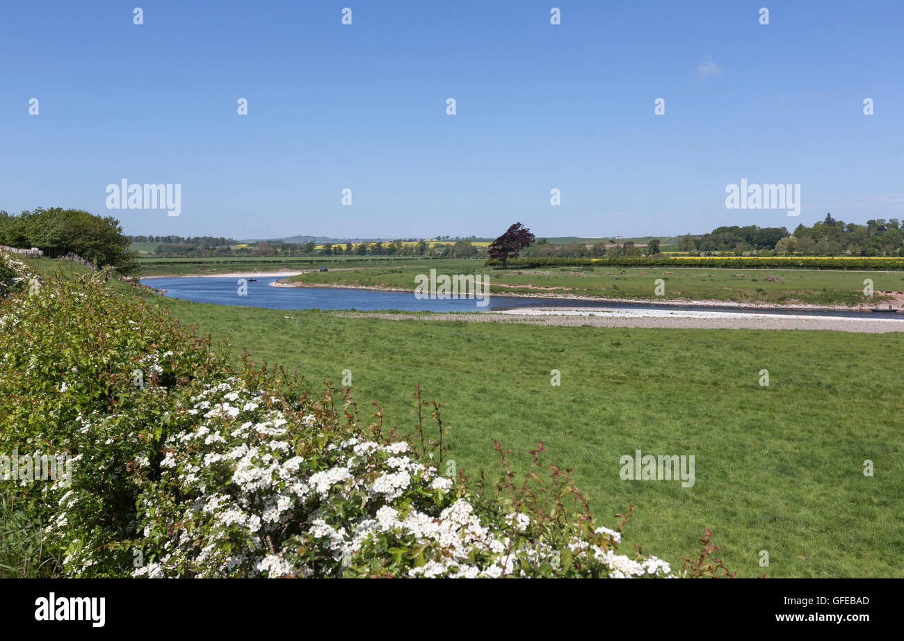 Tweed River Tweed Valley, Scottish Borders, Schottland, UK Stockfoto