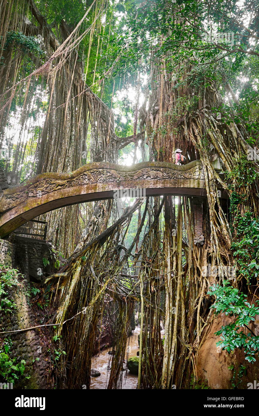 Drachenbrücke in die Heiligen Monkey Sanctuary, Bali, Indonesien Stockfoto