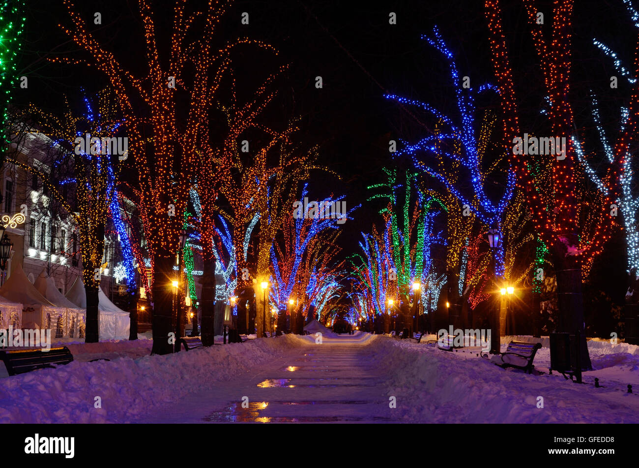 Winternacht am Primorskii Boulevard dekoriert mit bunten Girlanden, berühmten Ort zum Ausruhen der lokalen Bevölkerung, Odessa, Ukraine Stockfoto