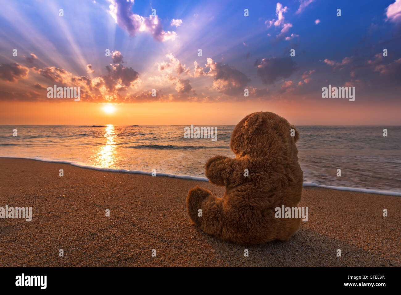 Teddybär Spielzeug allein am Strand. Stockfoto